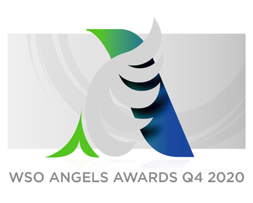 World Stroke Organisation (WSO) Angels Awards 2020 Platinum Status