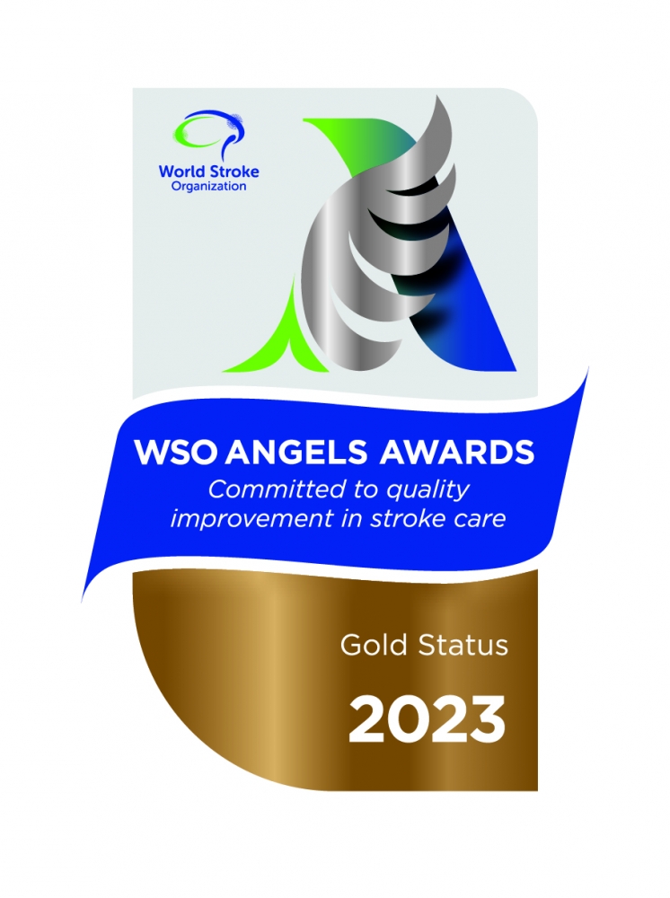 2023 年世界中风组织 (WSO) 天使奖 - 金奖（第二季度）