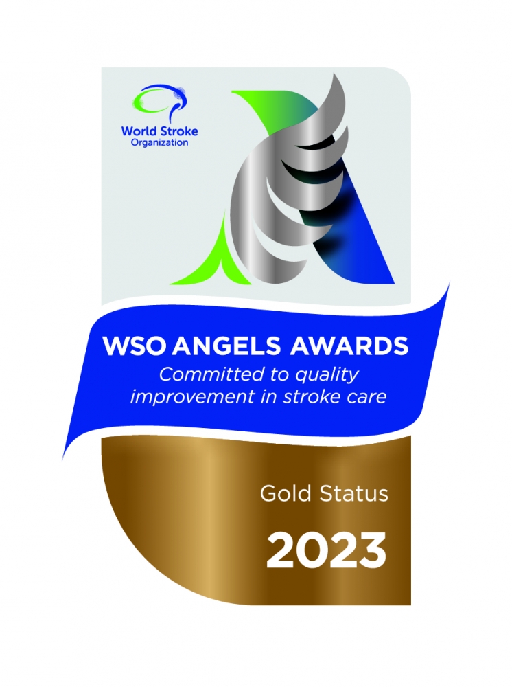2023 年世界中风组织 (WSO) 天使奖 - 金奖（第三季度）