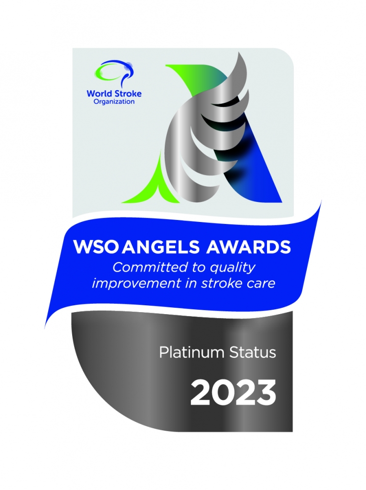 World Stroke Organisation (WSO) Angels Awards 2023 - Platinum Award (Q1)