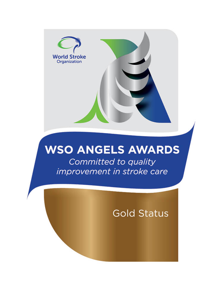 World Stroke Organisation (WSO) Angels Awards 2025 – Gold Award (Q1)