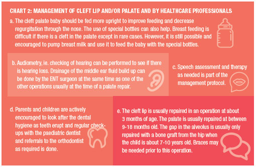 Introduction to Cleft Lips and Palates