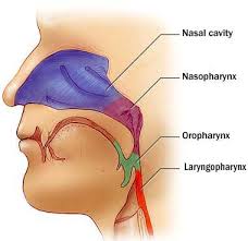 Nasopharyngeal carcinoma
