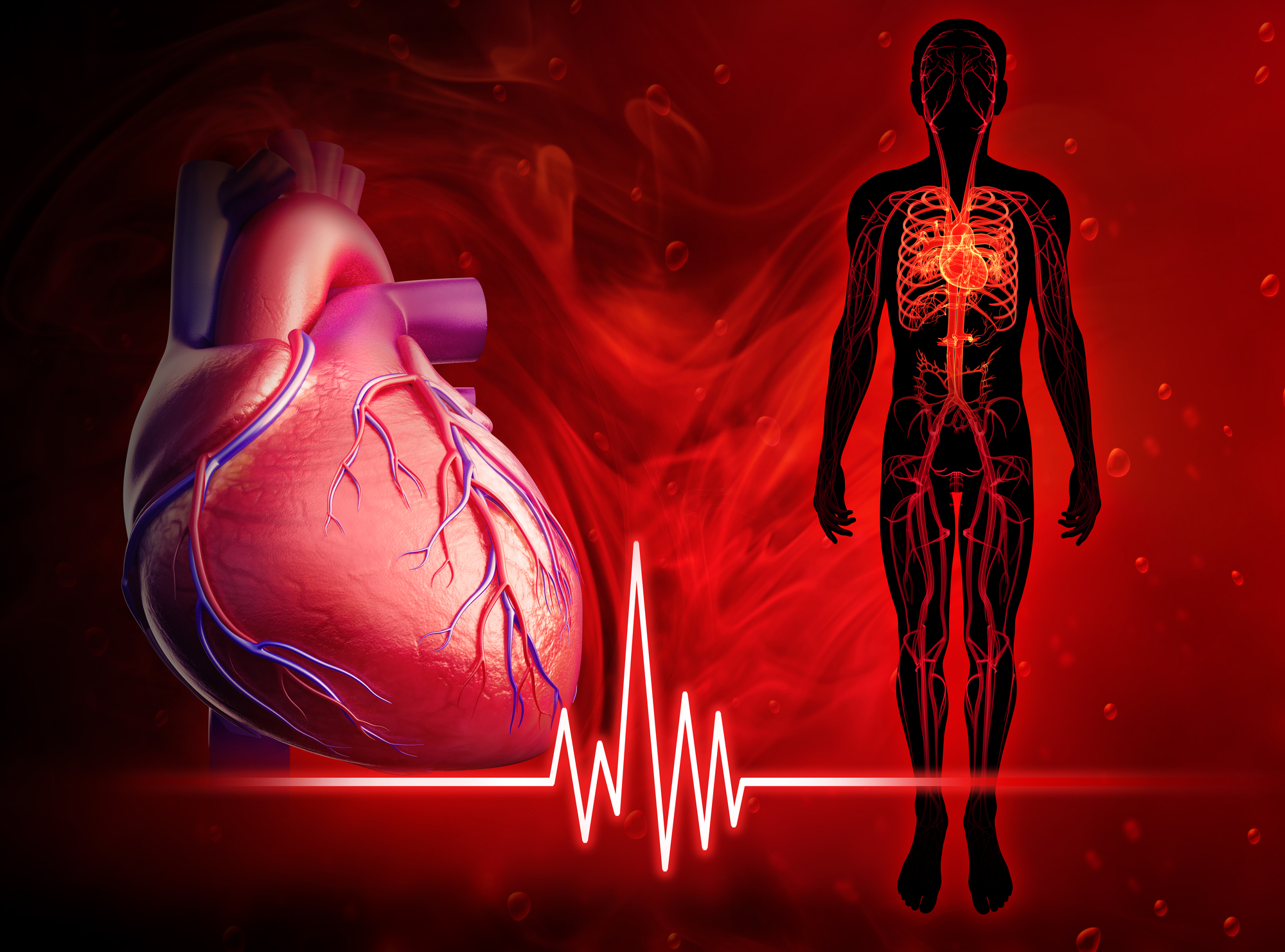 20 Interesting Facts About the Human Heart…