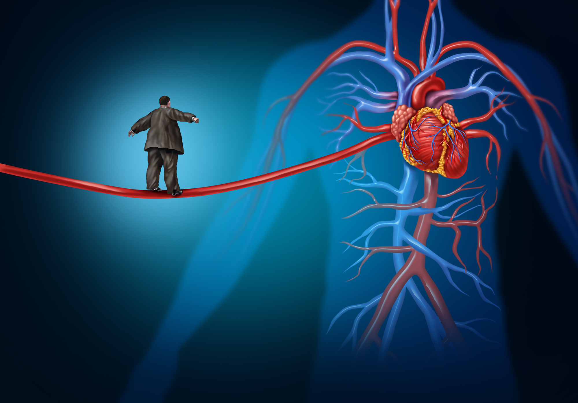 肥胖与心血管疾病之间的联系
