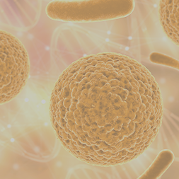 Glucose-6-Phosphate Dehydrogenase (G6PD) Deficiency