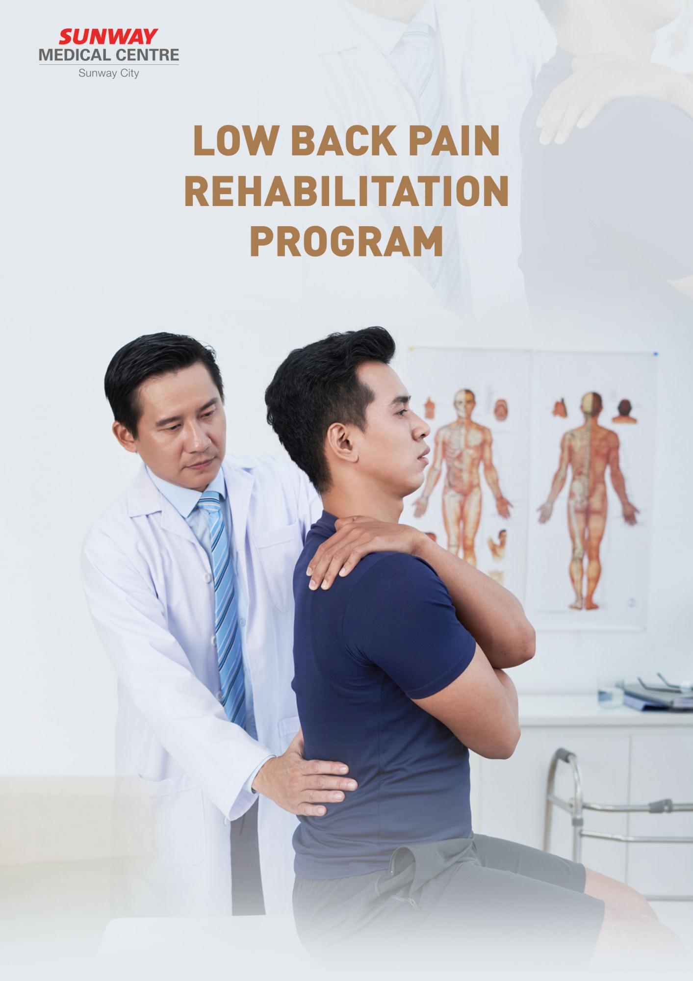 Low Back Pain Rehabilitation Program